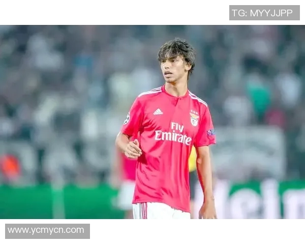 菲利克斯足球明星的崛起与未来发展展望分析