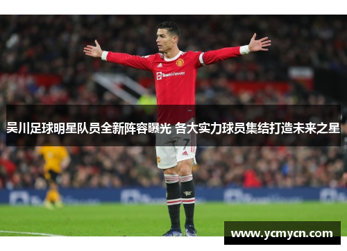 吴川足球明星队员全新阵容曝光 各大实力球员集结打造未来之星